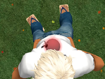 体の中の不快感：武術書に見る「病を去ること」(3)感覚を内側から感じると病は去る：Awakening the Body ～ 目覚める身体 目覚める感覚：治療・感覚・意識・その他：町の按摩さん.com