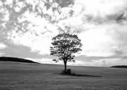 �ؖ]�Ƌْ��F�鋳�̉Ȋw�F�g�b�v�y�[�W�F���̈�����.com