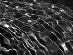 �ؖ]�Ƌْ��Q�F�鋳�̉Ȋw�F�g�b�v�y�[�W�F���̈�����.com