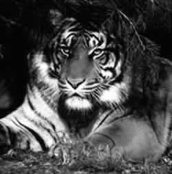 ���ق̊J�ԁF�鋳�̉Ȋw�Q�F���̈�����.com