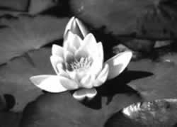 ���ق̊J�ԂQ�F�鋳�̉Ȋw�Q�F���̈�����.com