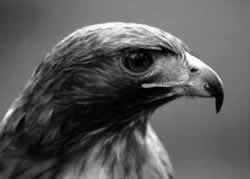 �G�[�e���́@���F�鋳�̉Ȋw�R�F���̈�����.com