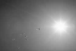 �G�[�e���́@���Q�F�鋳�̉Ȋw�R�F���̈�����.com