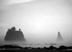 �G�[�e���́@���R�F�鋳�̉Ȋw�R�F���̈�����.com