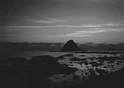 �A�X�g�����́@�~�]�Q�F�鋳�̉Ȋw�S�F���̈�����.com