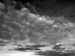 �����^���́@�C�Â��F�鋳�̉Ȋw�T�F���̈�����.com