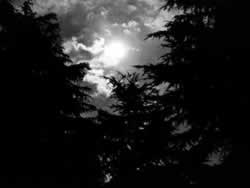 �����^���́@�C�Â��R�F�鋳�̉Ȋw�T�F���̈�����.com