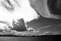 �X�s���`���A���́@���Ȓm�i���݁A�ӎ��A�����j�Q�F�鋳�̉Ȋw�U�F���̈�����.com