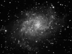 �R�Y�~�b�N�́@�F���I���l�F�鋳�̉Ȋw�V�F���̈�����.com