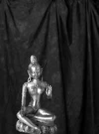 �R�Y�~�b�N�́@�F���I���l�Q�F�鋳�̉Ȋw�V�F���̈�����.com