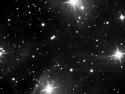 �j�����@�[�i�́@�񑶍݁@���F�鋳�̉Ȋw�W�F���̈�����.com