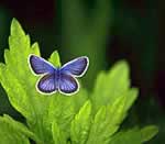 �u���X�Z���s�[�E�K�C�h�Q�F���e�Ǝ�e�E�J�^���V�X�E�A�E�F�A�l�X�E�u���b�N�F���̈�����.com