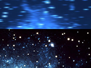 �uSprits Journy�v���^�~���[�W�b�N�P�F�w�~�V���N���L�R