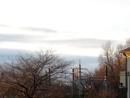 �^�~�̃X���[�W���M���O�͑f���炵���O�O�F�X���[�W���M���O���L10