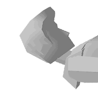 ��̊��o-�����̃G�N�T�T�C�Y�R�F�L�����l�e�B�N�X���`�x�b�g�̑����L