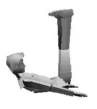 �L�����l�e�B�N�X���`�x�b�g�̑����L�V�F�{�������͂T