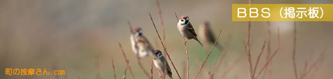 �f���^�C�g���F���̈�����.com