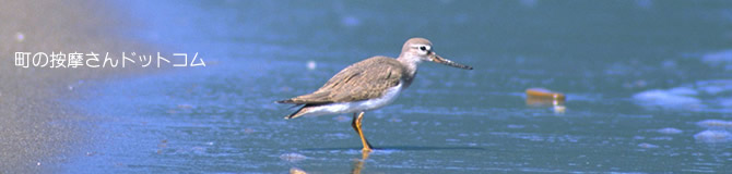 �g�b�v�y�[�W�^�C�g���F���̈�����.com