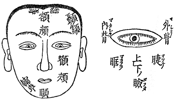 ���ÓT���Ёu����������v�̃e�L�X�g���Q�F�{�����̌P�F���̈�����.com