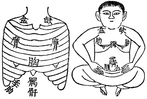 ���ÓT���Ёu����������v�̃e�L�X�g���Q�F�{�����̌P�F���̈�����.com