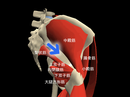 �Ҋ֐߂��O���O�����ăX�b�L����U�}�F�l�̉�U3D�T�C�g�uZygoteBody�v�Ƃ��̎g�����Ȃǁi�T�j�F�^�C�g���摜�F���̈�����.com