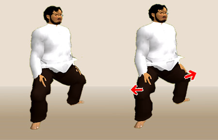 腰割りの基本姿勢2:腰割りのススメ:相撲の基本稽古に学ぶ:Awakening the Body:町の按摩さん.com