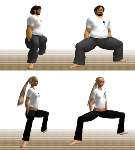 腰割りの目安：腰割りのススメ：相撲の基本稽古に学ぶ：Awakening the Body：町の按摩さん.com